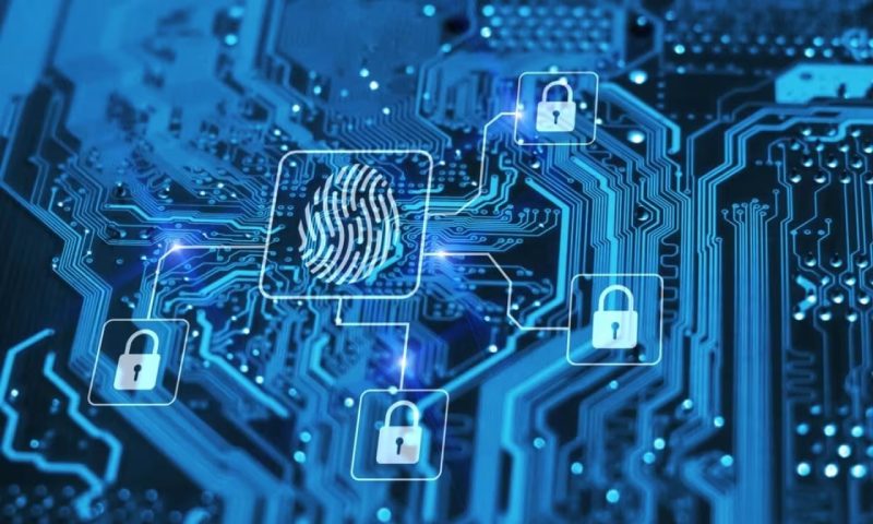 金东区软件开发公司